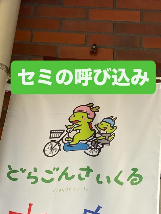 画像288