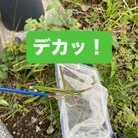 画像326