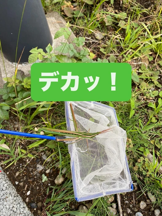 画像326