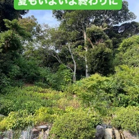 画像327