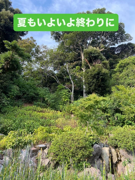 画像327